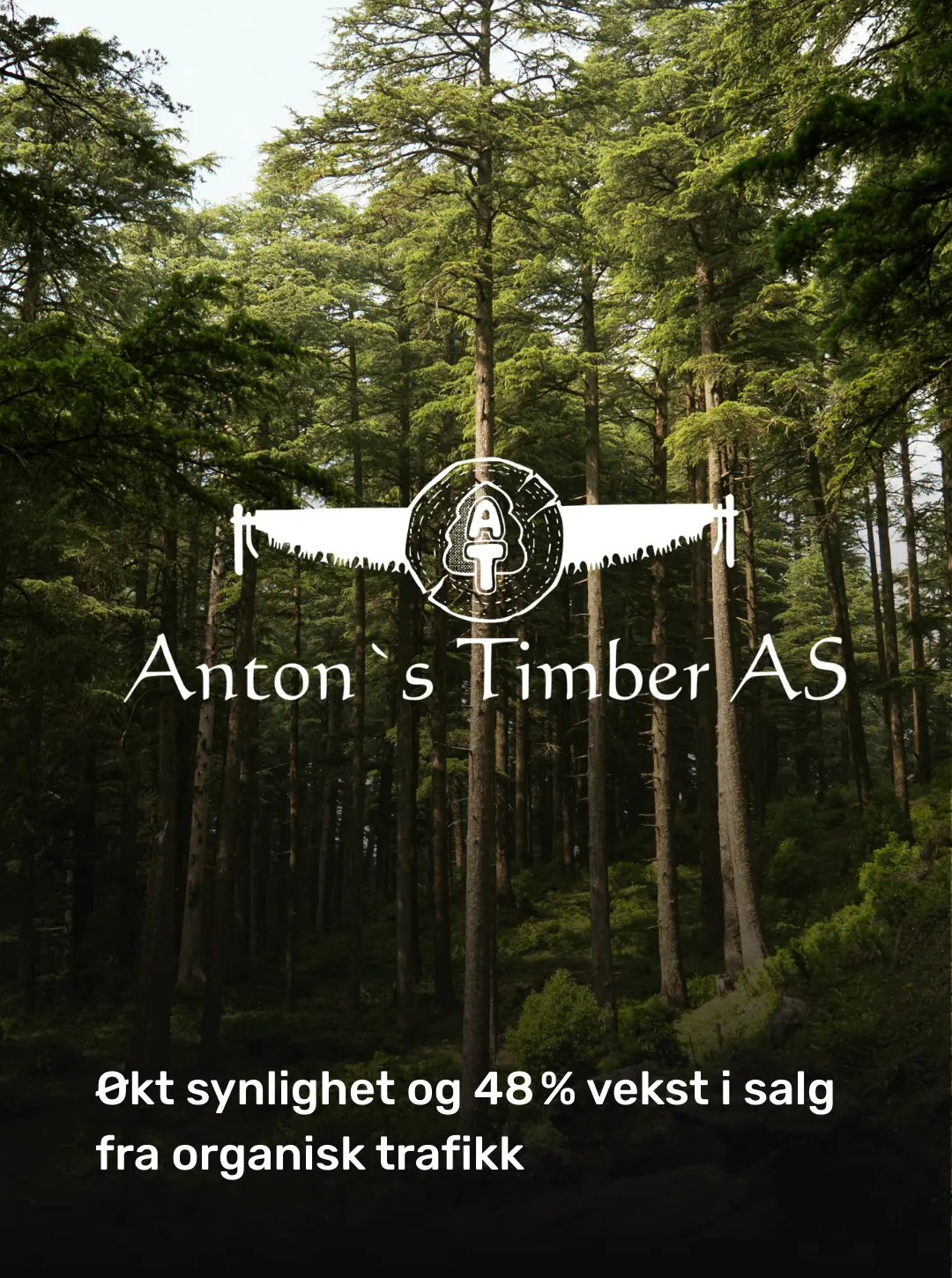 Antons Timber: original client material about increased visibility and 48 percent sales growth from organic traffic.